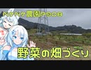 2024年2月17日　農作業日誌P908　出稼ぎ先でも地面を耕している