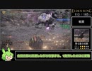 エルデンリング 全ボス(165体) バグなし Speedrun IGT 5:37:08 Part9/11