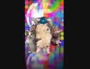 猫猫ハッピーレボリューション！！
