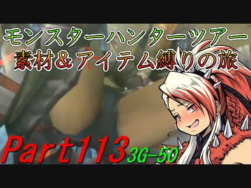 【ゆっくりモンハン】モンスターハンターツアー素材＆アイテム縛りの旅　part113【MH3G】