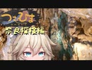 【つむひまつーりんぐ】奈良探検編【R1200RS/Driveman BS-9b】