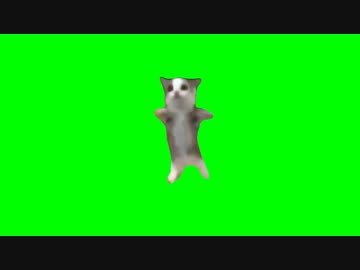 猫ミーム　ハッピーハッピーハッピー♪