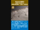 WHOからの脱退を主張するか否かは、米国の政治家の「正邪 」の試金石-1