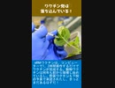 ワクチン党は落ち込んでいる！