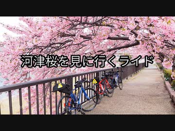 自転車で全力で走り抜きたい『寄り道しながら、河津桜を見に行くGR』