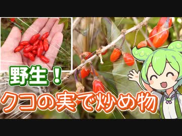 野生のクコの実で炒め物を作るずんだもん