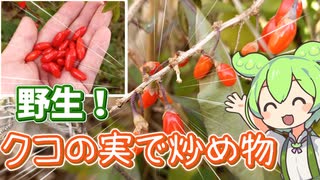 野生のクコの実で炒め物を作るずんだもん