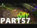 【のんびり実況】ピクミン４【PART57】