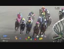 【2024年最初のG1はまさかの…】第41回フェブラリーS(GI) 2024.2.18