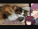 【詰め合わせ】1月日本酒何本飲んだ？ part Ex/14(終)【ねこもいます】