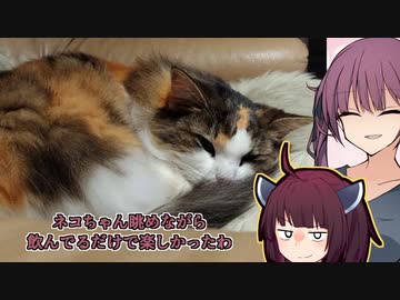【詰め合わせ】1月日本酒何本飲んだ？ part Ex/14(終)【ねこもいます】