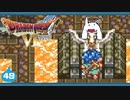 【DQ6＊実況】幻の大地を初見で大冒険！第四十九章