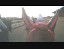 【ジョッキーカメラ】オメガギネス騎乗のC.ルメール騎手ジョッキーカメラ映像｜2024年フェブラリーS