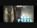 赤ちゃんなまず飼育日記 249日目