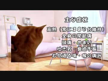 【猫ミーム】インフルエンザにかかって酷い目にあった話