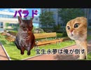 宝生永夢ゥ 猫ミーム