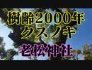 防府市　老松神社！