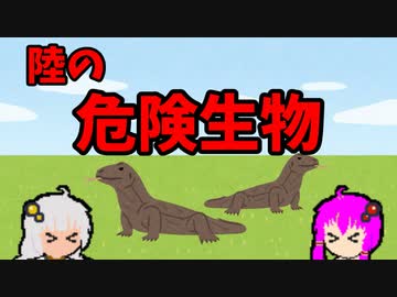 【VOICEROID解説】ゆかり先輩と見る危険生物【陸編⑪】