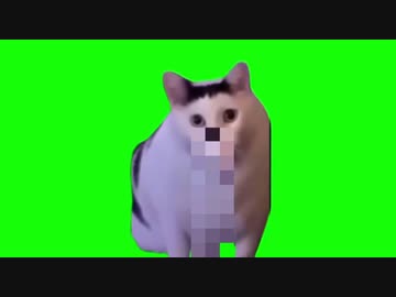 チピチピ チャパチャパ ジュポジュポ！グポ！グポグポ！ジュルルルルッ！！ 猫ミーム