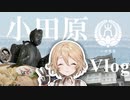 【Vlog】小田原をゆる〜く散歩する【VOICEVOX】