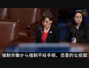 ヤング・キム上院議員：中共はチベット文化を抹殺するまでやめない！　