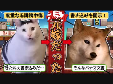 【猫ミーム】開示請求したら元嫁だった件