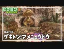 【激突！アメニュウドウ】ピクミン3DX初見のんびり実況【38日目】