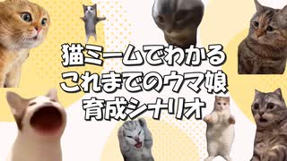 猫ミームでわかるこれまでのウマ娘の育成シナリオ