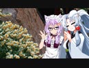 ユヅキとイタコの幕間散策 P.5