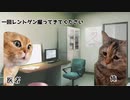 そうまヘルニア編♯１
