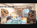 そうまヘルニア編♯２