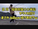 【大物？】2月に福井県某○○半島でヤリイカ狙っていたらまさかの60cm級の大物か？あれ？ｗｗ