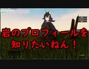 岩になりたいと思ったことはありますか？　