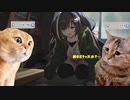 プリコネ☆猫ミーム・マッマのクレカで課金した岸くん