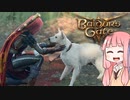 お姉ちゃん犬と出会う【バルダーズゲート3】♯11
