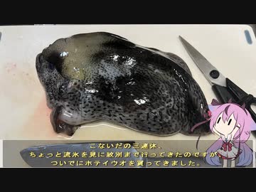 珍食材が食べたい！#175 ごっこ汁