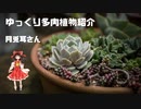 【ゆっくり】多肉植物【紹介】part1