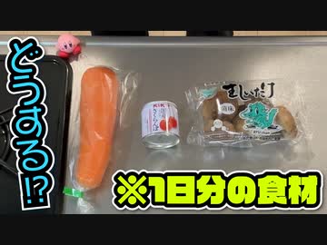 カービィが食べたものしか現実で食べられない生活 1日目(現実ご飯編)【星のカービィ ディスカバリー】