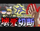 【2014年】小さな「トゲ」から腕が壊死して切断　ケガを放置してはいけない理由『劇症型溶連菌』【ゆっくり解説】