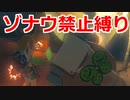 ゾナウ禁止縛りpart18【ティアキン/制限プレイ/ゼルダの伝説ティアーズオブザキングダム】