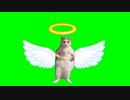 天に召されるネコ GB　cat angel Green Screen　　#catmemes　#猫ミーム　#猫マニ