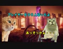 【猫ミーム】神ゲーに出会って狂ってしまったネコ