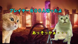 【猫ミーム】神ゲーに出会って狂ってしまったネコ