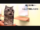 そうまヘルニア編♯３