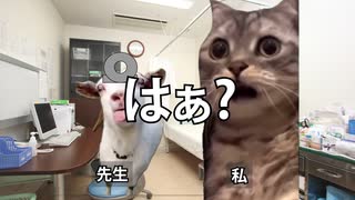息ができなくて死にかけた話