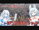 2024年2月20日　農作業日誌P911　まるで夏の到来を感じる春のひと時