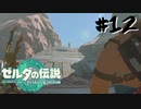 #12 なぜか転職の話しながら中ボスと戦う男【ゼルダの伝説 TotK】