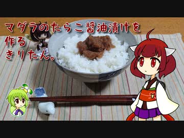 マダラのたらこ醤油漬けを作るきりたん。
