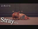 【Stray】取り逃した記憶を拾いに【能井 遥】