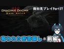 【DDDA】チトチトのドラゴンズドグマ：ダークアリズン微初見プレイPart37